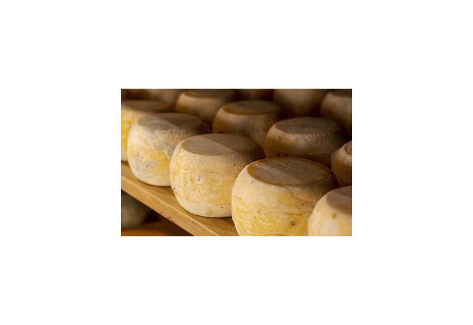 Pecorino: proprietà, caratteristiche e tipologie