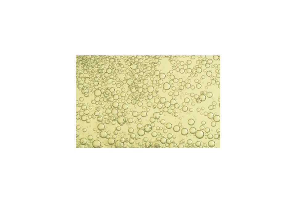 Les meilleurs vins mousseux italiens : comment ils sont produits et où les acheter