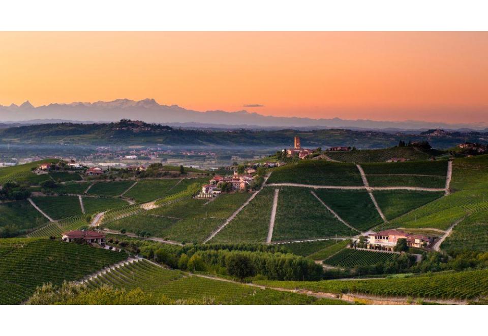 calice di vino rosso