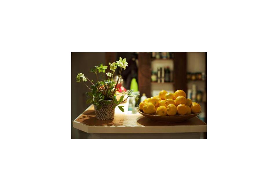 Einführung in die Bergamotte aus Kalabrien