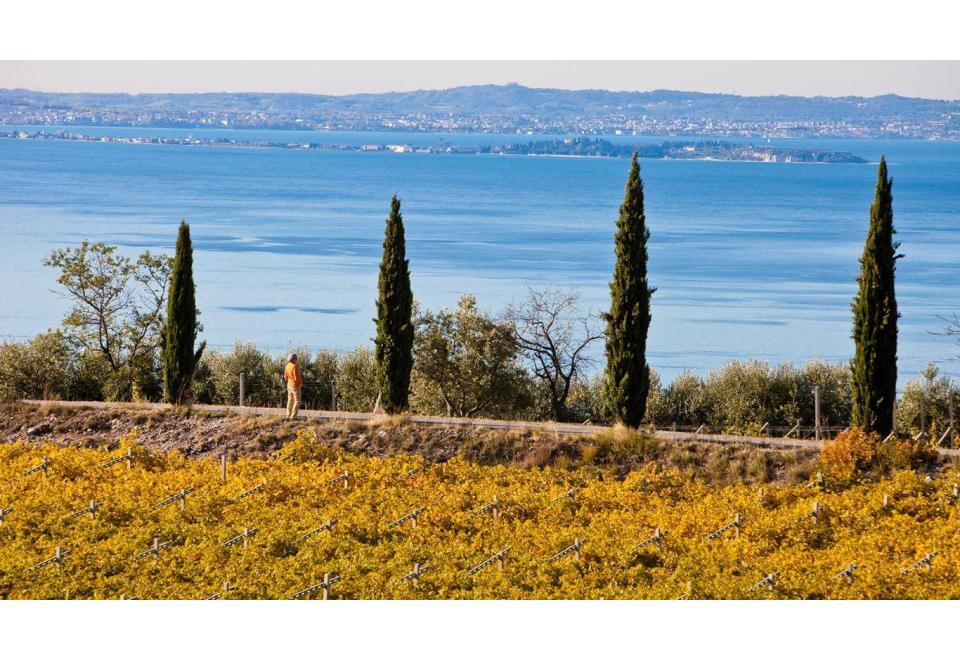 Lugana DOC-Weine: Perlen der Gardaseeregion