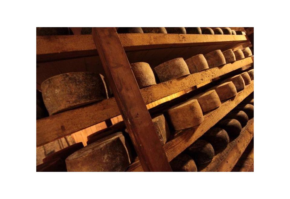 Pecorino-Käse: Eigenschaften, Merkmale und Arten