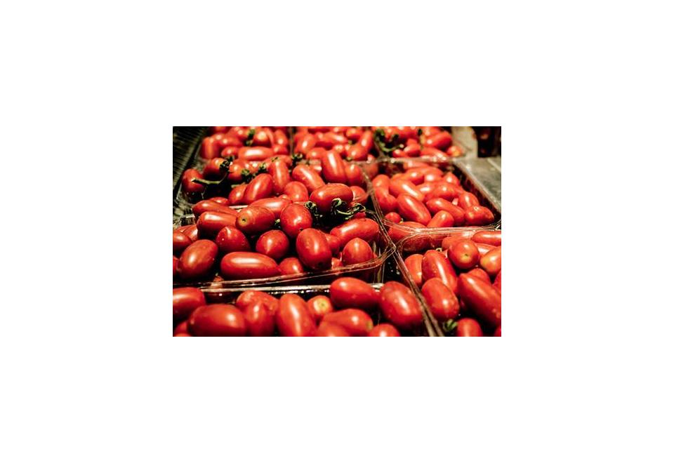 Tomates San Marzano AOP : caractéristiques et où les acheter