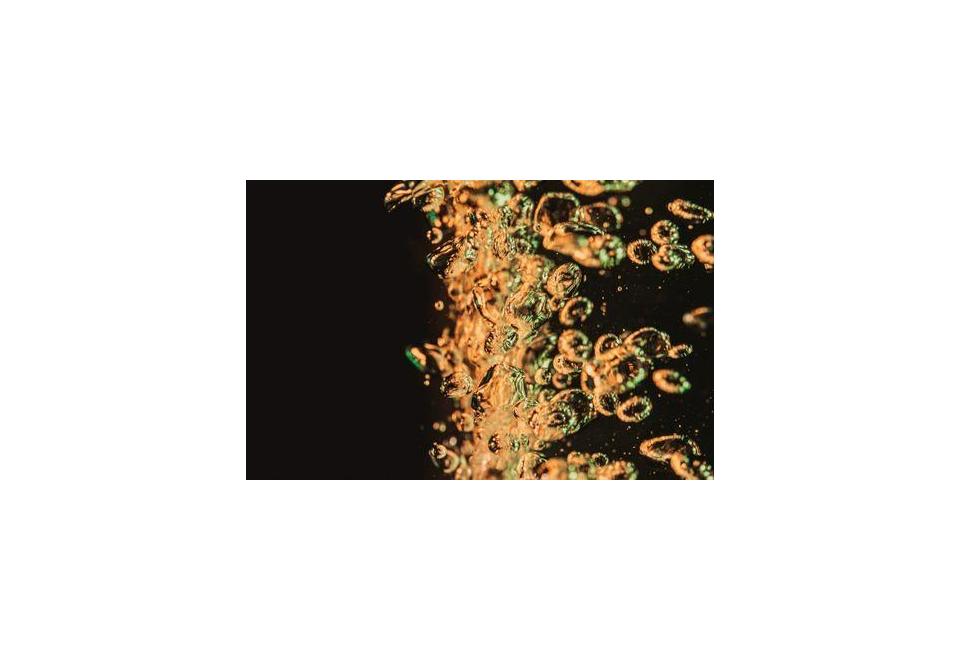 Migliori spumanti italiani: come sono prodotti e dove acquistarli