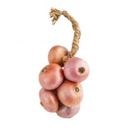 Cipolla (Onion) ramata di Montoro