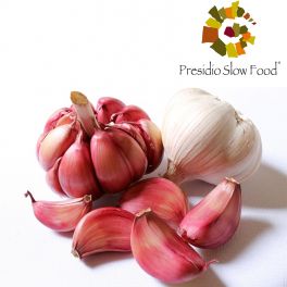 Red Garlic from Nubia