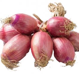 Coppery onion in braid Calabria