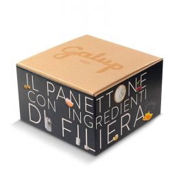 Panettone Galup Filiera 1Kg